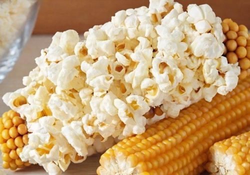 Popcorn Maize