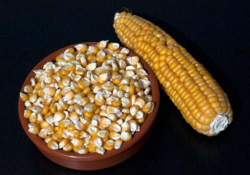 Yellow Maize