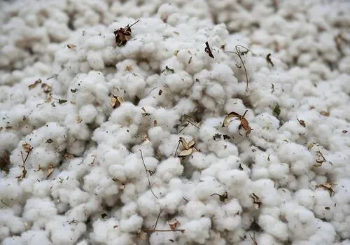 cotton-bales-heap-of-raw-cotton-cotton-production-cotton-fibers-photo
